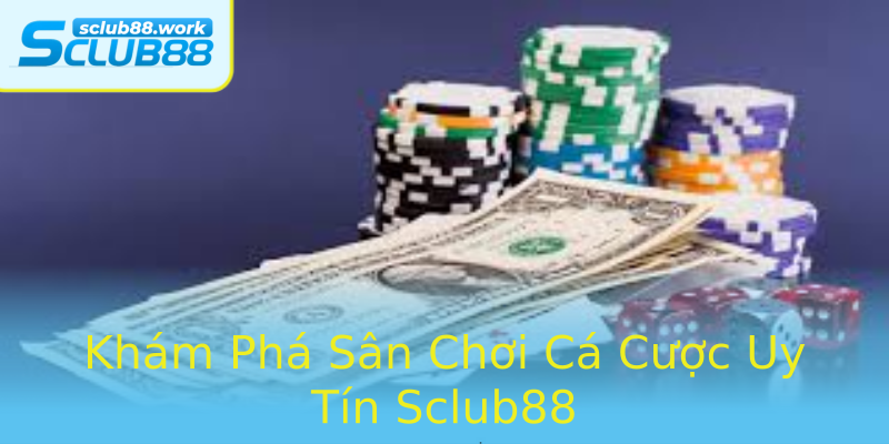 Khám Phá Sân Chơi Cá Cược Uy Tín Sclub88 Khám Phá Sân Chơi Cá Cược Uy Tín Sclub88