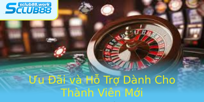 Ưu Đãi và Hỗ Trợ Dành Cho Thành Viên Mới